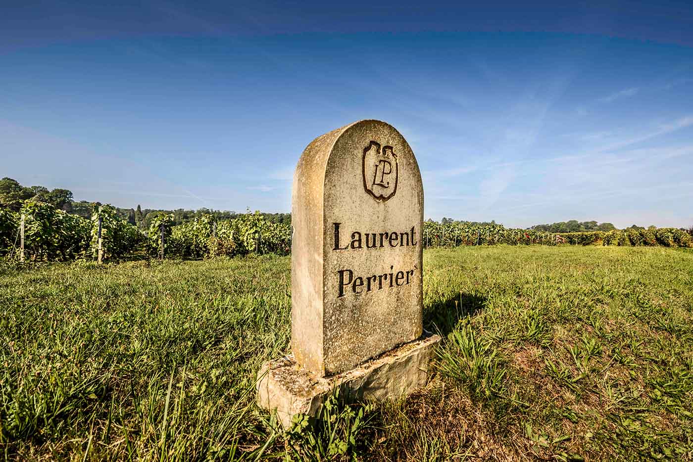 Champagner Laurent Perrier Von Salis Wein1