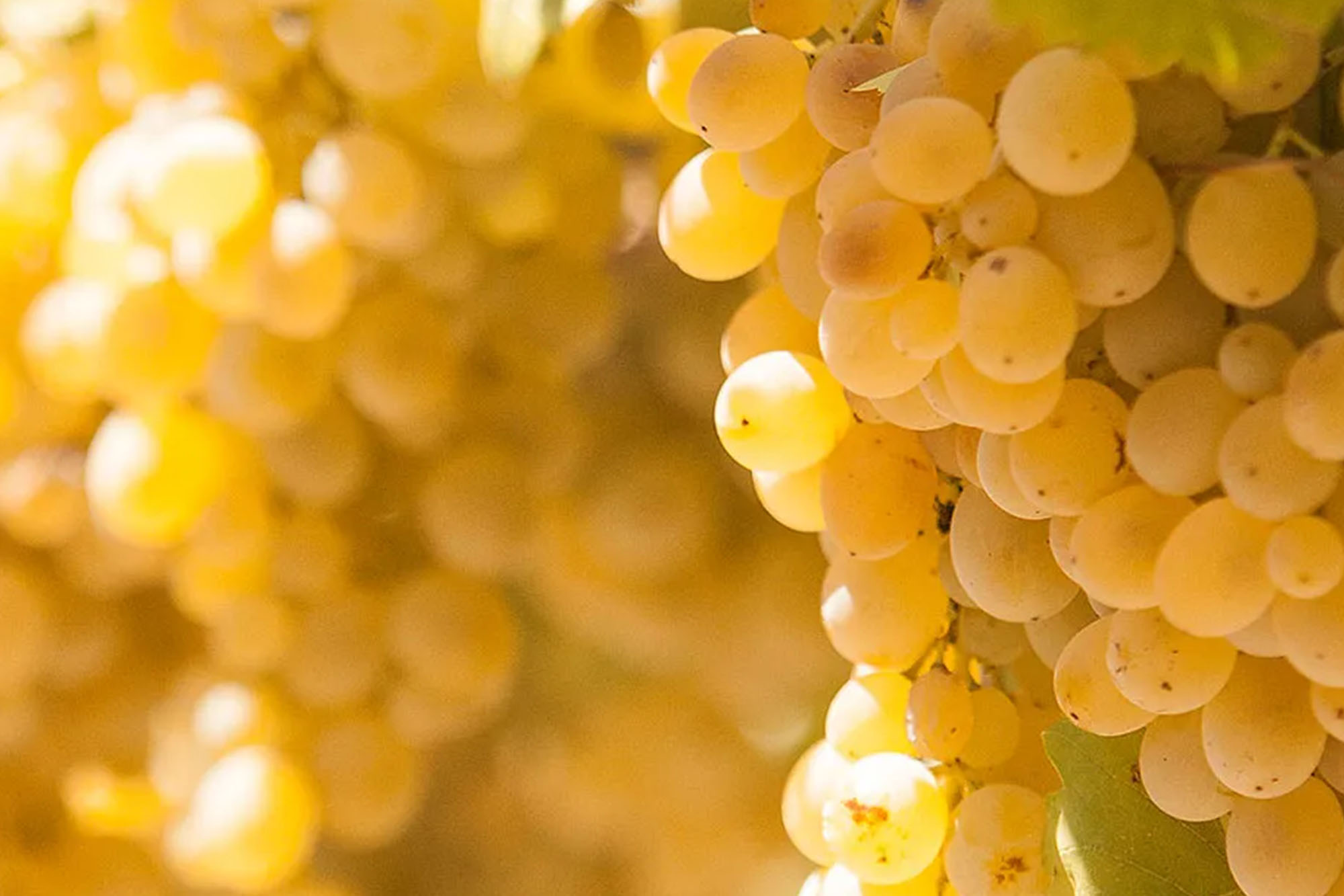 Adobestock 1405467476 Kopie (7)