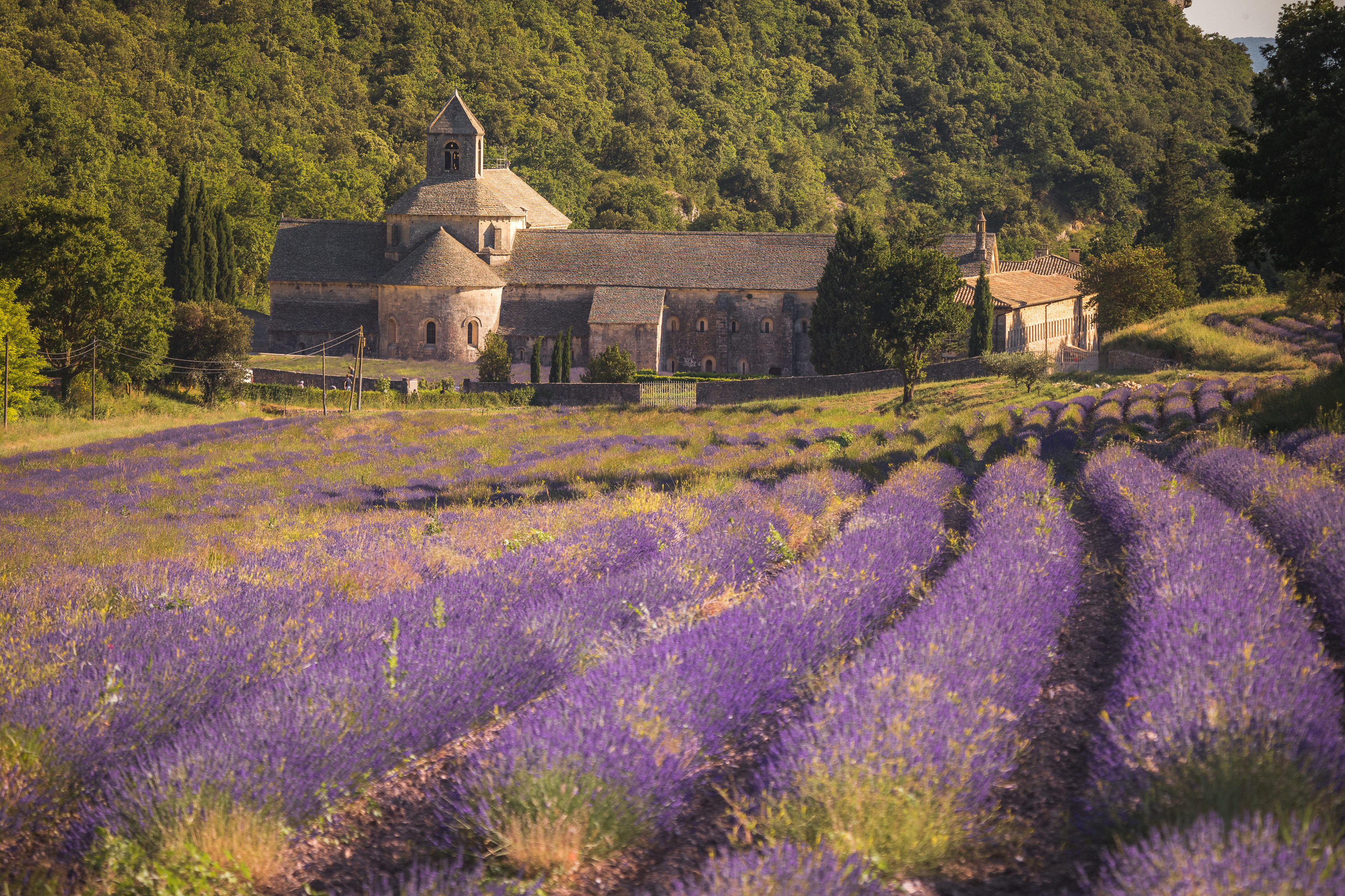 Adobestock 274450680 (1)