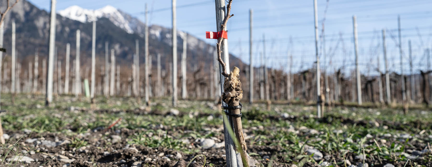 Bu Ndner Herrschaft Kopie