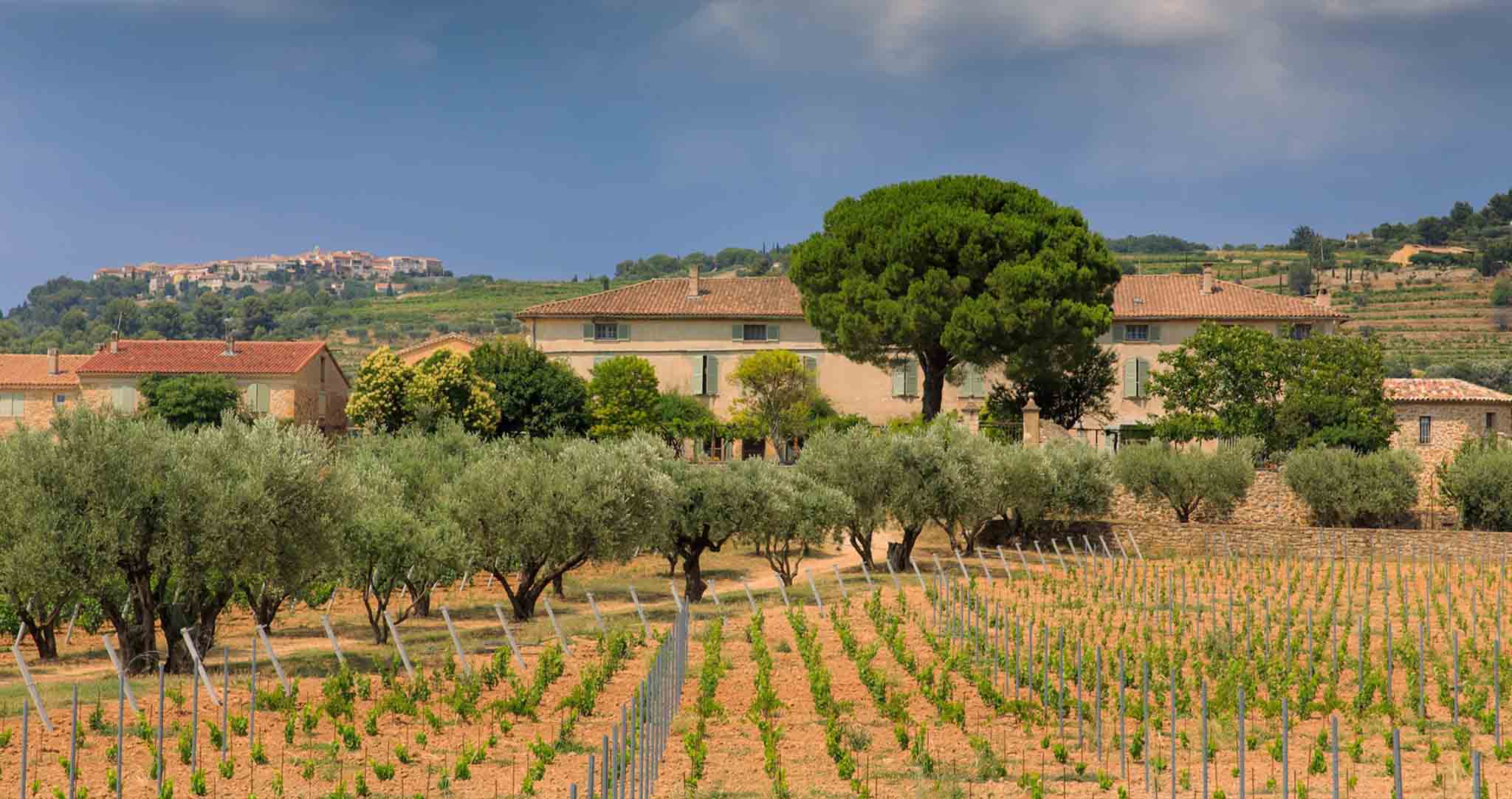 Domaine Ott Vonsalis Weinblog