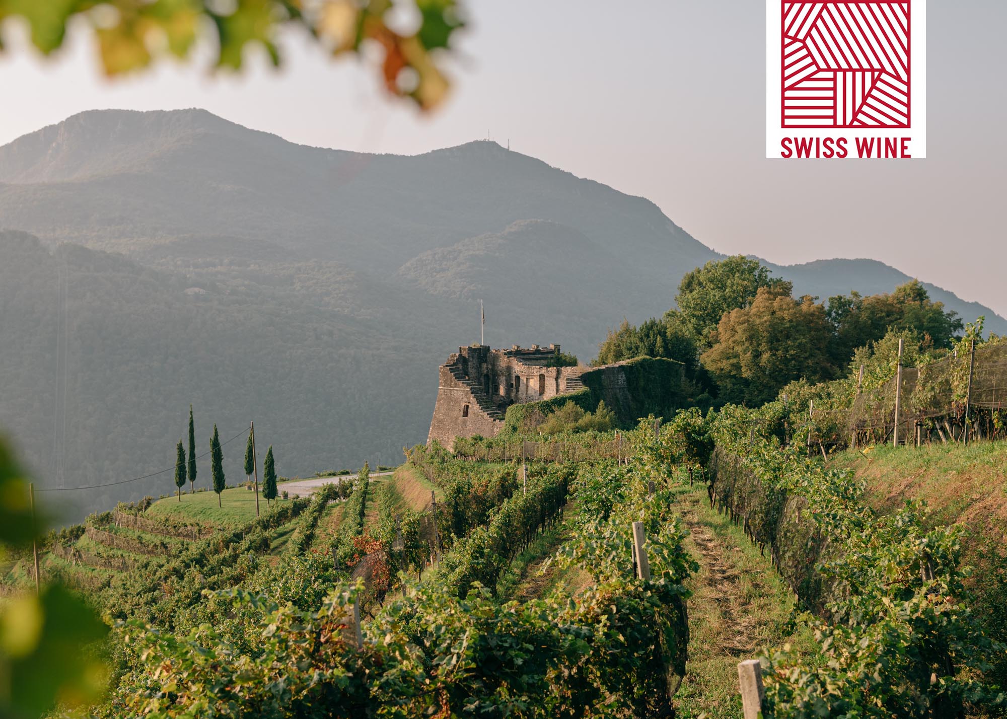 200918HD FEED SWISSWINE TI Gaby Gianini L1240020 Kopie