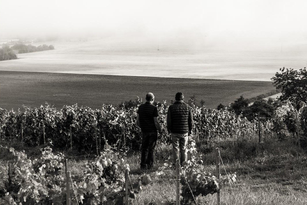 Champagne Dehours De La Terre Au Vin Von Salis Wein1