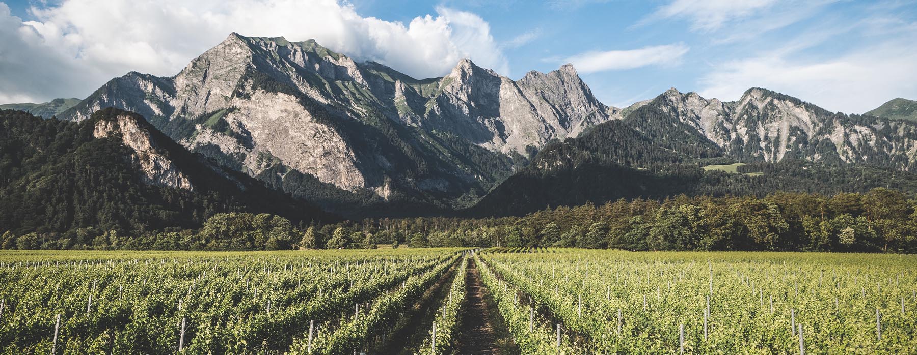 Bündner Herrschaft