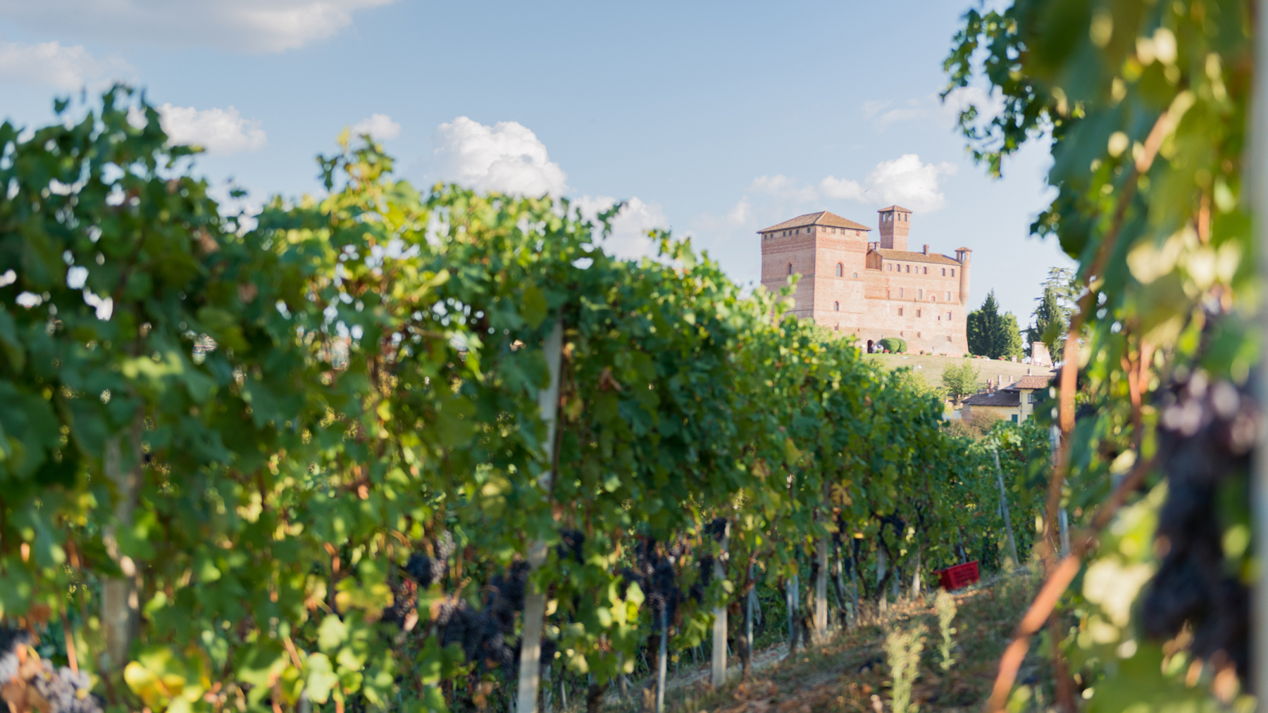 Von Salis Wein La Carlina Piemont Barolo1