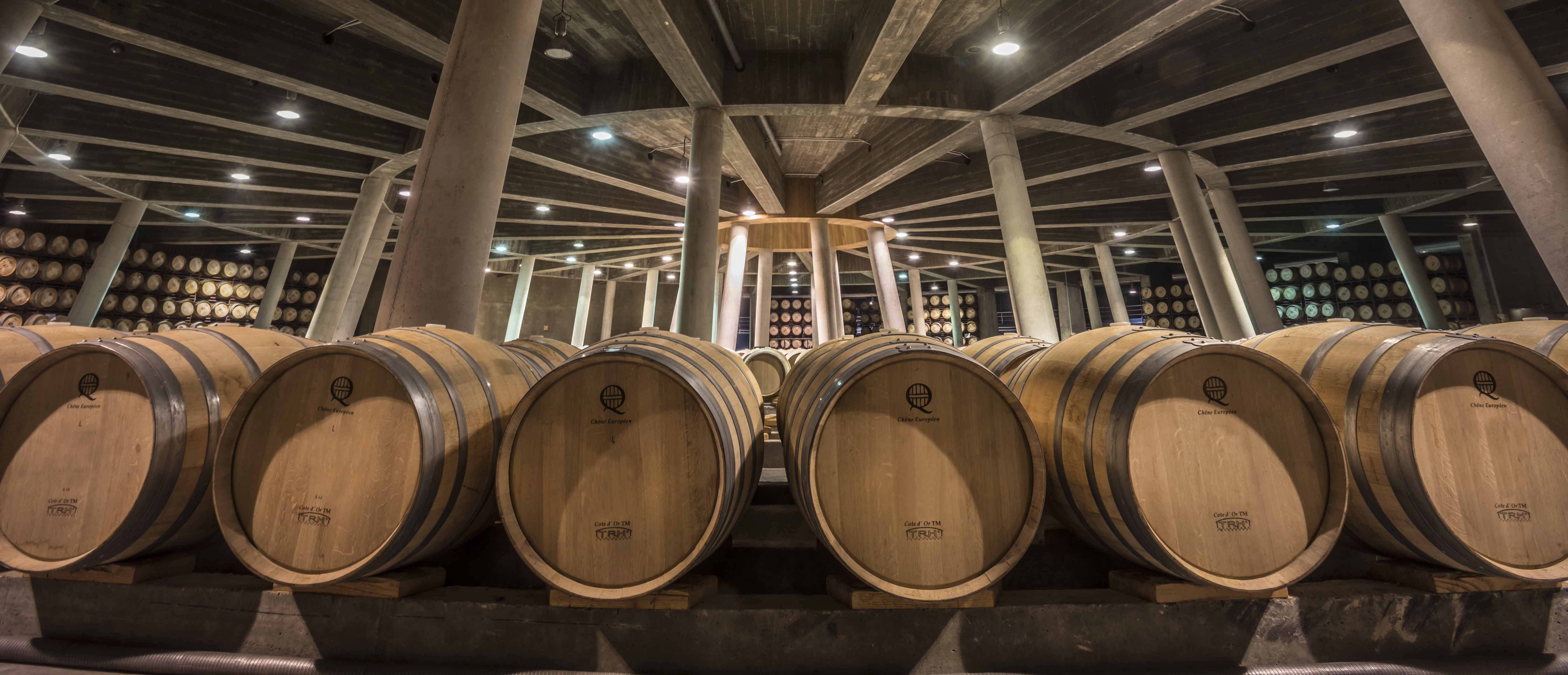 VIÑA REAL Barrel Room