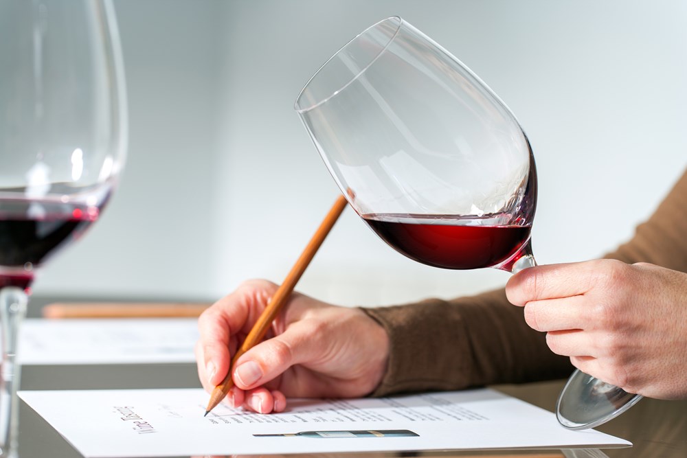 von Salis Weinkurs «Wein & Sensorik» von Salis Weinkurs «Wein & Sensorik»