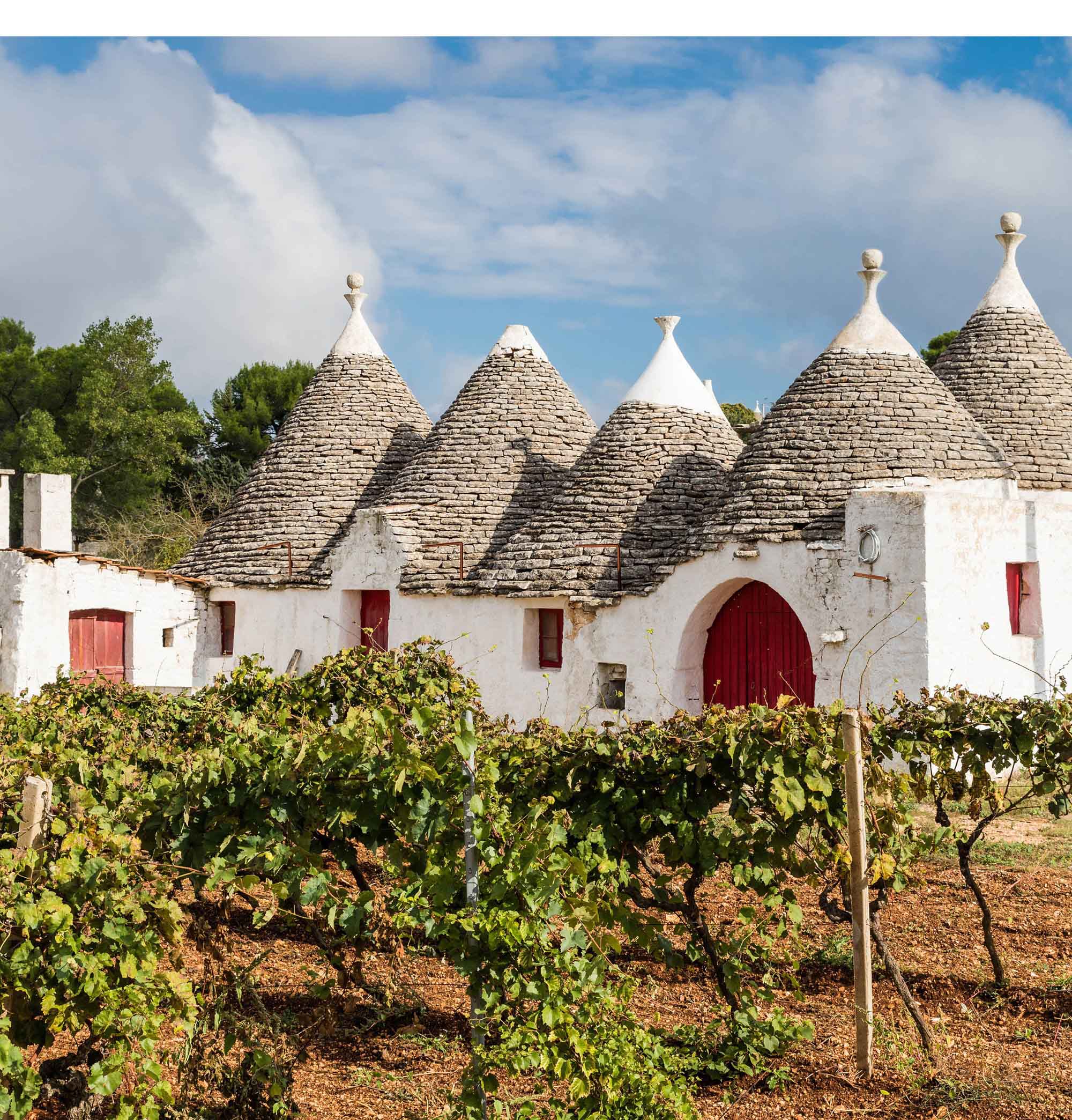 Apulien Rosewein Von Salis Kopie