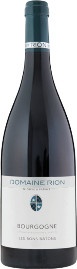 Domaine Michèle & Patrice Rion Bourgogne 2016, Bourgogne AOC, Pinot Noir, Burgund