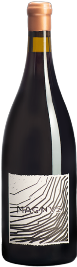 Möhr-Niggli Maienfelder Pinot Noir Magnus 2017, AOC Graubünden (Rarität), Pinot Noir, Graubünden