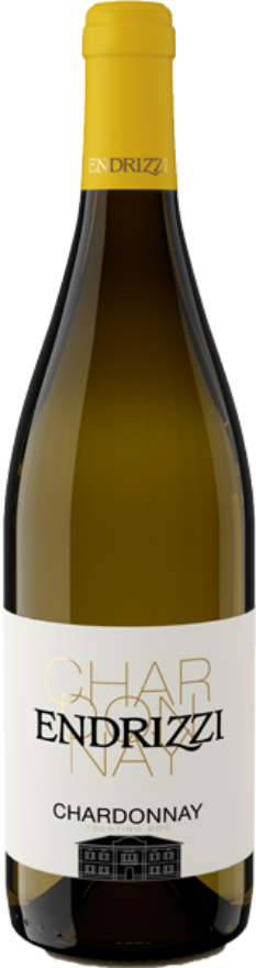 Endrizzi Chardonnay 2020, Trentino DOC, Chardonnay, Trentino