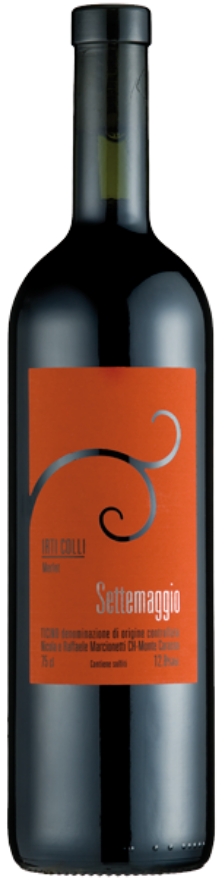 Settemaggio Irti Colli 2019 Settemaggio Irti Colli 2019