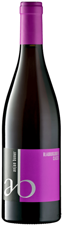 Anjan Boner Malanser Blauburgunder 2021, AOC Graubünden, Pinot Noir