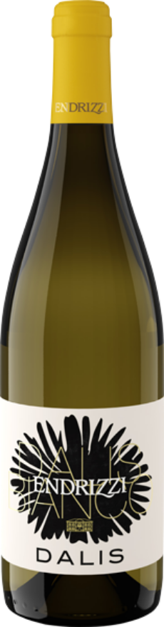 Endrizzi Cuvée Dalis Bianco 2021, Vigneti delle Dolomiti Bianco IGP, Chardonnay, Sauvignon Blanc, Nosiola, Trentino