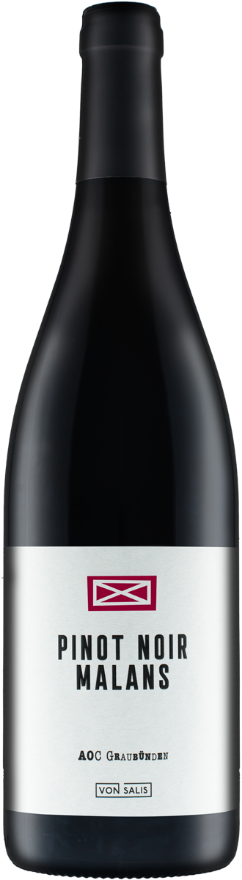 von Salis Malanser Pinot Noir 2021, AOC Graubünden, Pinot Noir, Graubünden