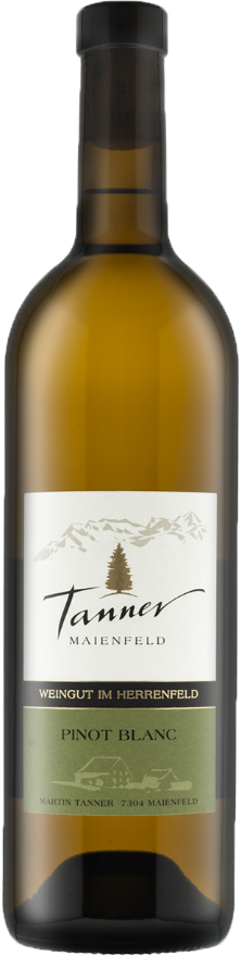 Tanner Maienfelder Pinot Blanc 2021, AOC Graubünden, Pinot Blanc, Graubünden