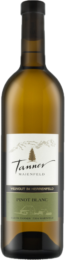Tanner Maienfelder Pinot Blanc 2021 Tanner Maienfelder Pinot Blanc 2021