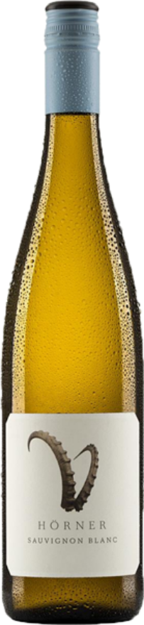 Weingut Hörner Sauvignon Blanc «Steinbock» 2021