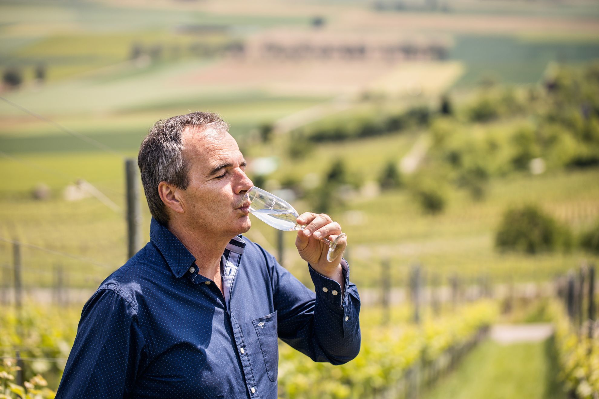 Bild für Kategorie Strada Weinkellerei