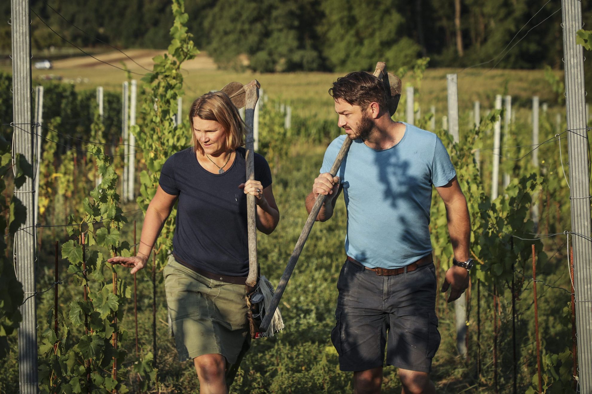 Zeige Produkte für Kategorie Weingut Obrecht Bild für Kategorie Weingut Obrecht