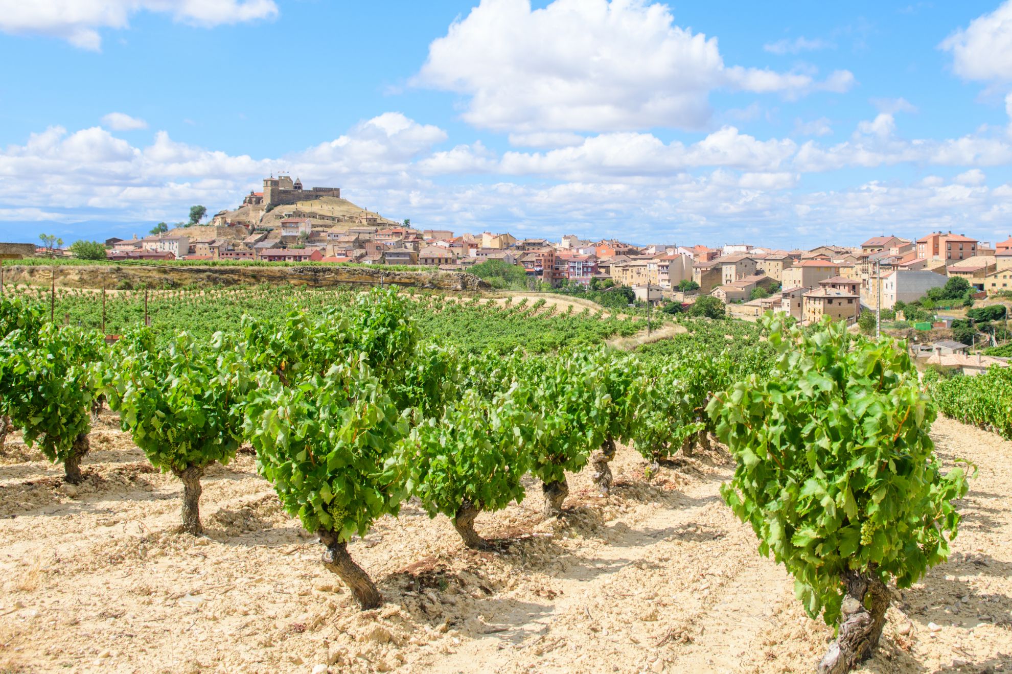 Bild für Kategorie Rioja