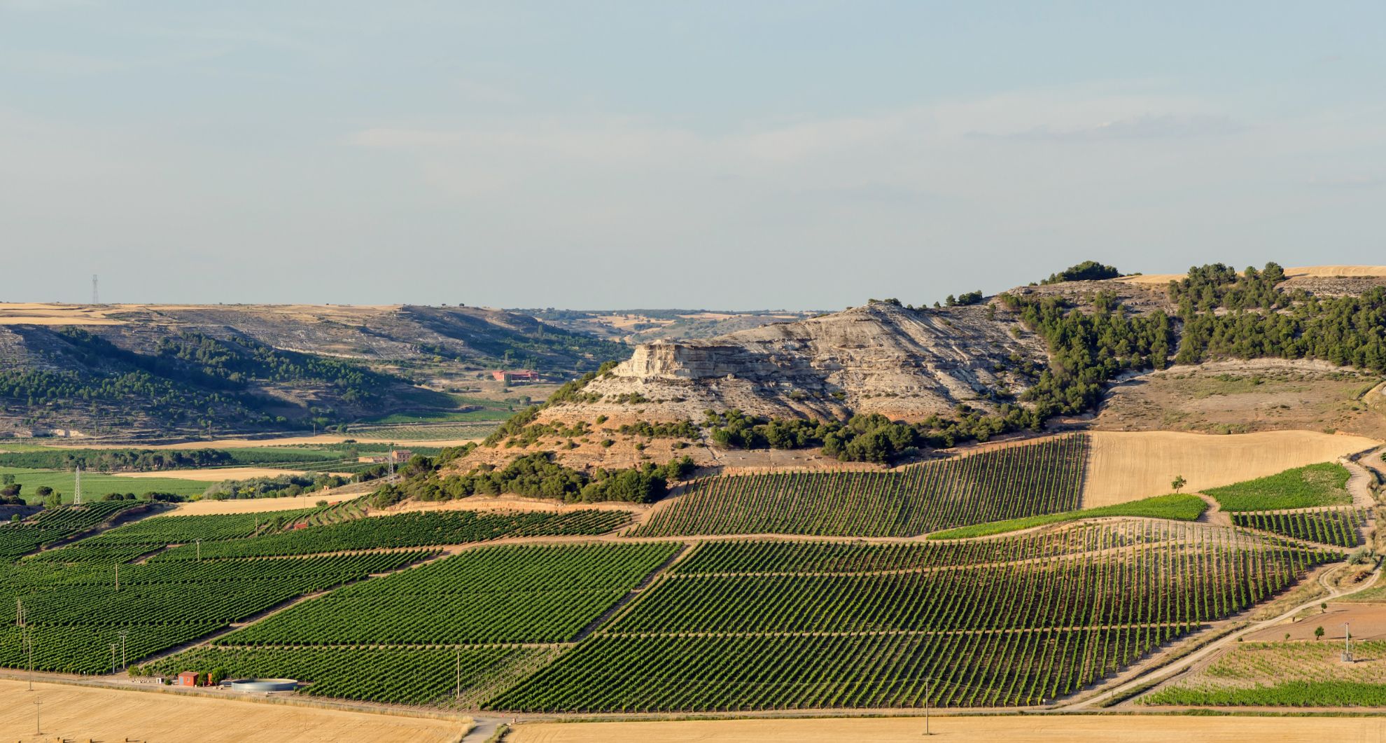 Zeige Produkte für Kategorie Ribera del Duero Bild für Kategorie Ribera del Duero