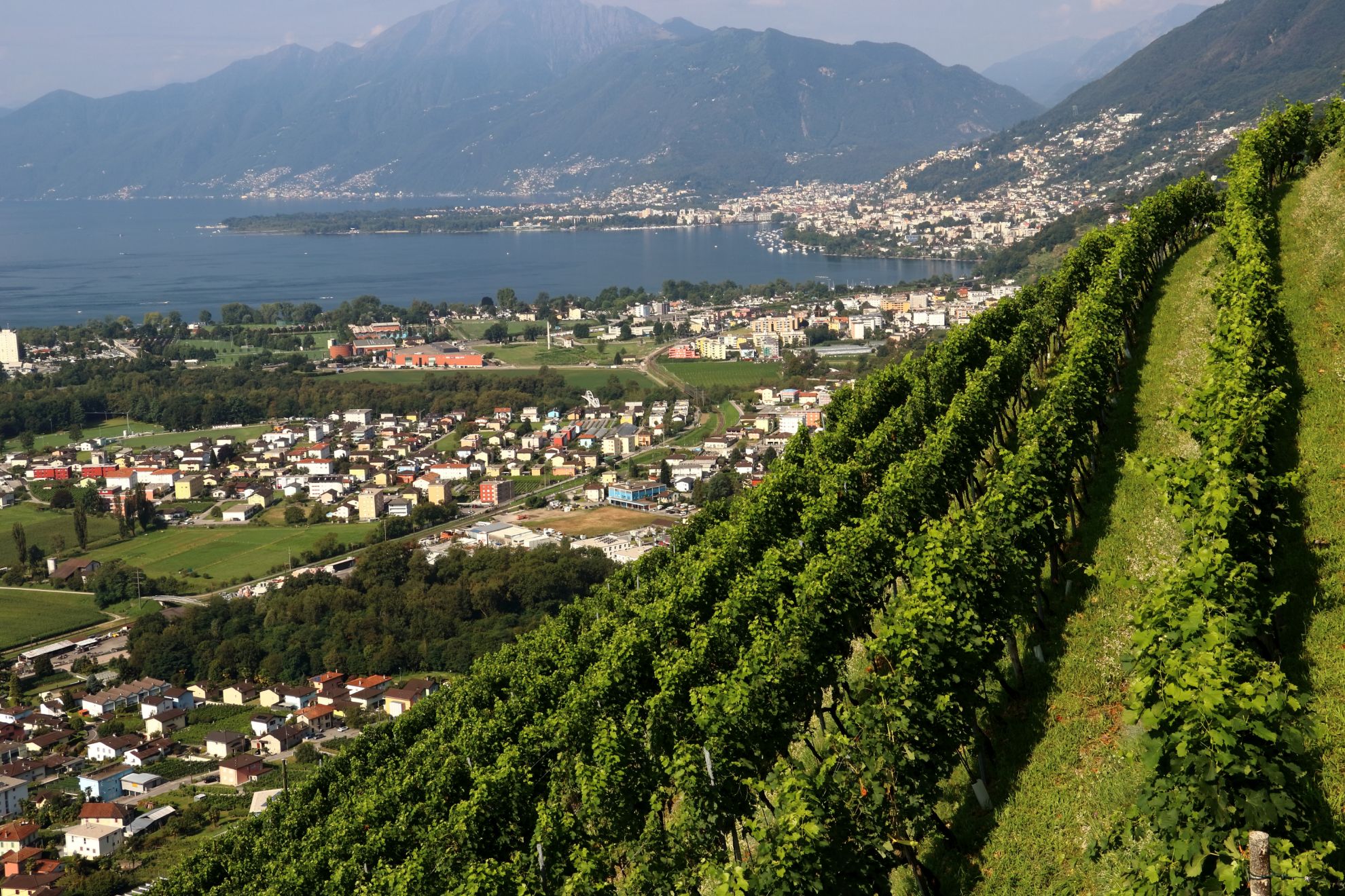 Zeige Produkte für Kategorie Tessin Bild für Kategorie Tessin