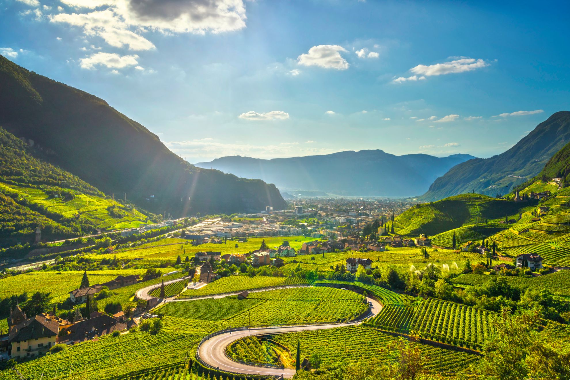 Zeige Produkte für Kategorie Trentino Bild für Kategorie Trentino