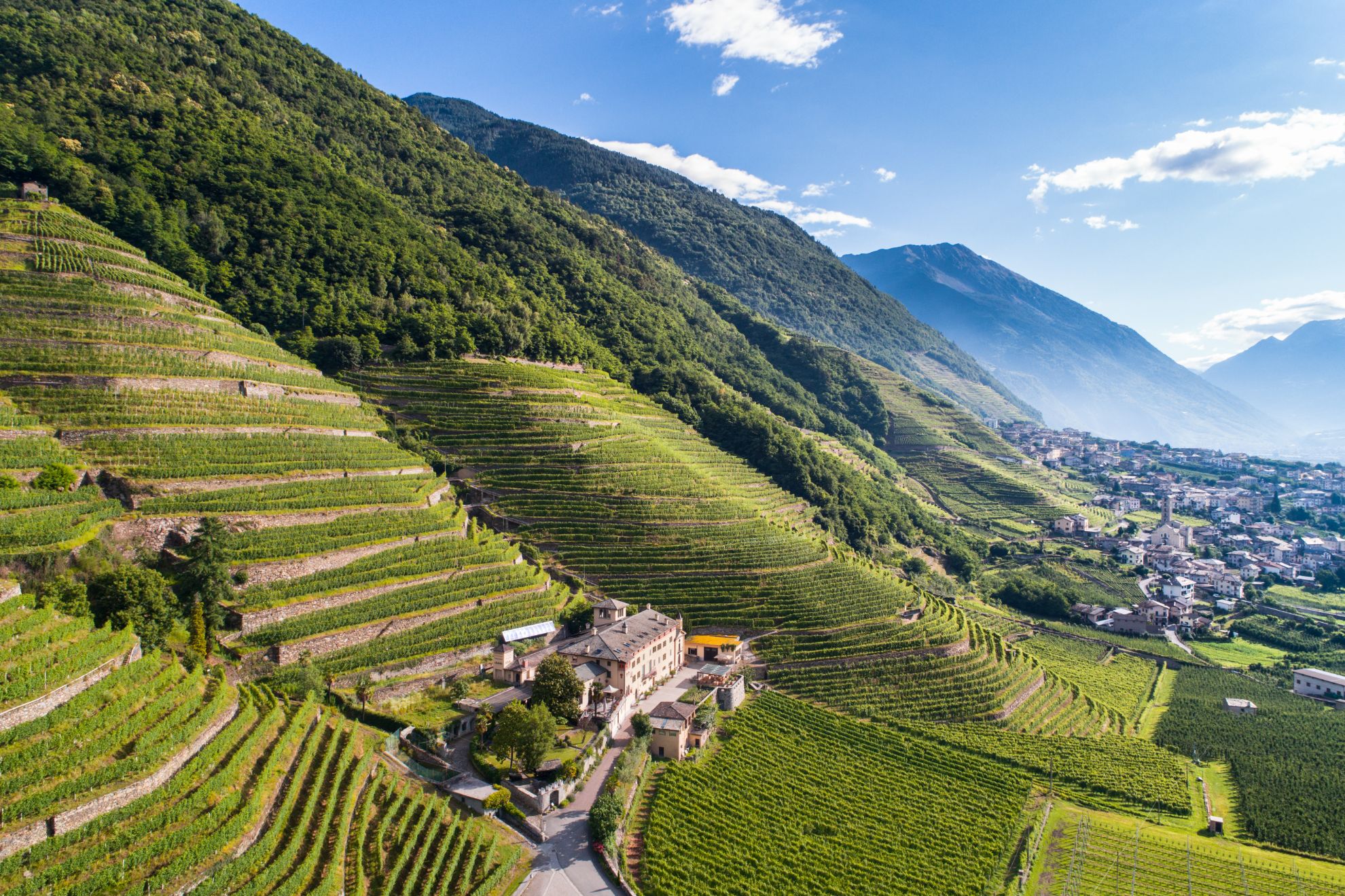 Zeige Produkte für Kategorie Valtellina Bild für Kategorie Valtellina