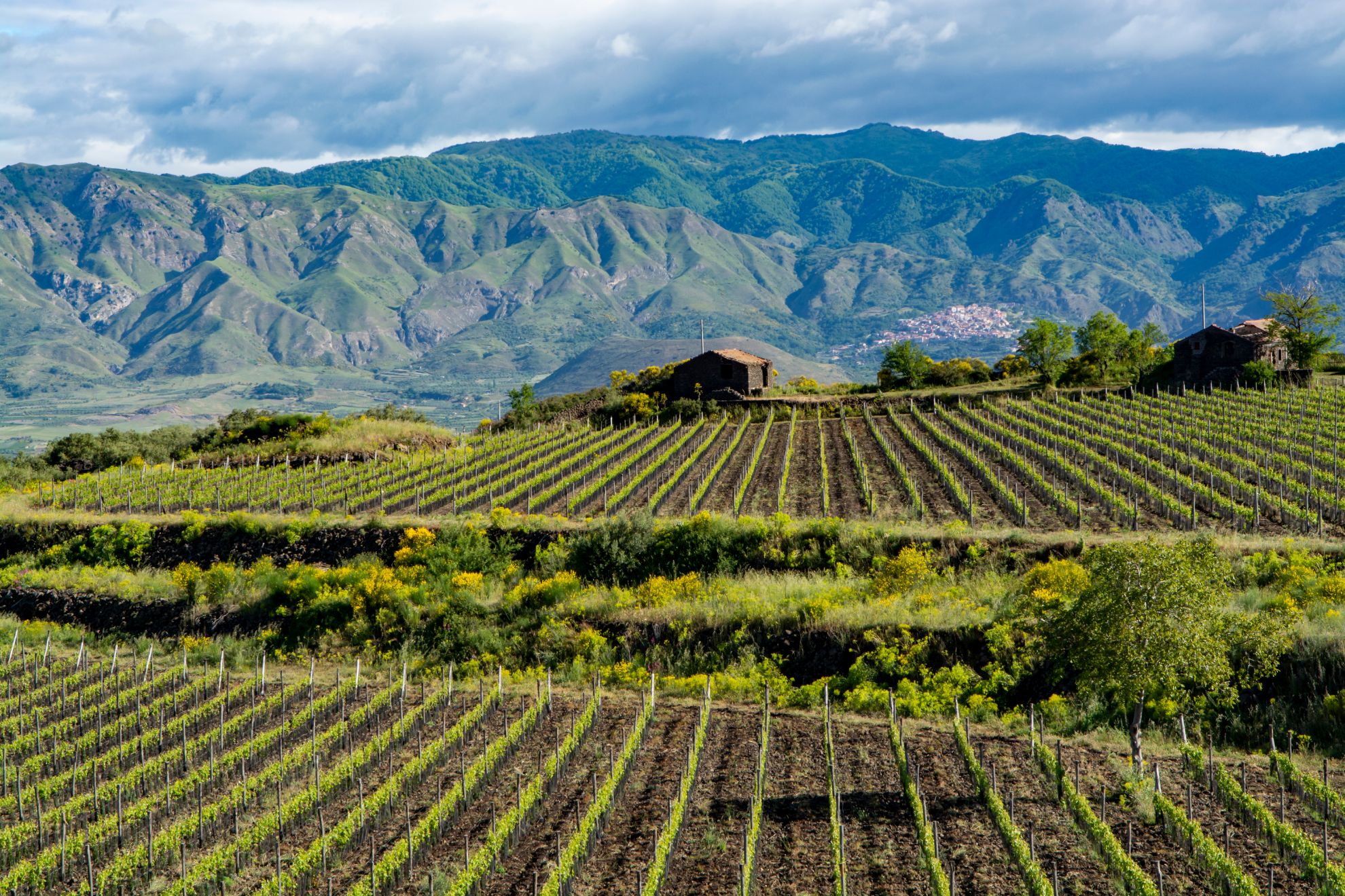 Zeige Produkte für Kategorie Sicilia Bild für Kategorie Sicilia