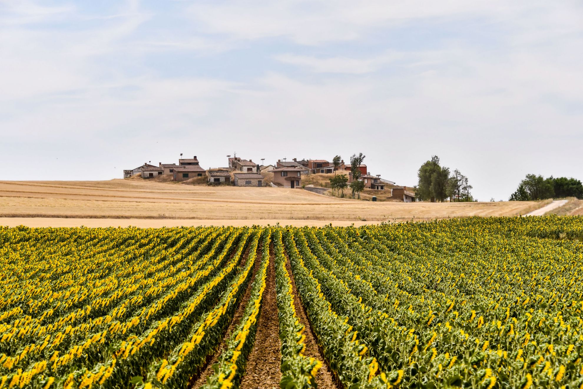 Zeige Produkte für Kategorie Castilla y Leon Bild für Kategorie Castilla y Leon