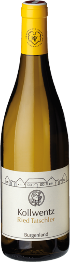 Kollwentz Chardonnay Tatschler 2020, Burgenland, Chardonnay, Burgenland