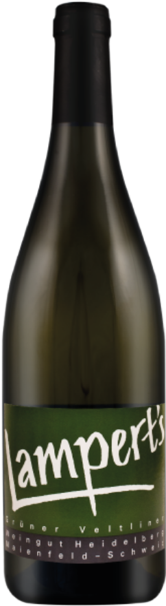 Heidelberg Maienfelder Grüner Veltliner 2020 Heidelberg Maienfelder Grüner Veltliner 2020