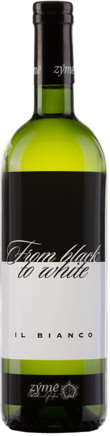 Zymé From Black to White 2019 Zymé From Black to White 2019