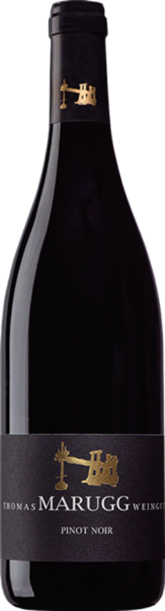 Thomas Marugg Fläscher Pinot Noir 2021, AOC Graubünden, Pinot Noir, Graubünden