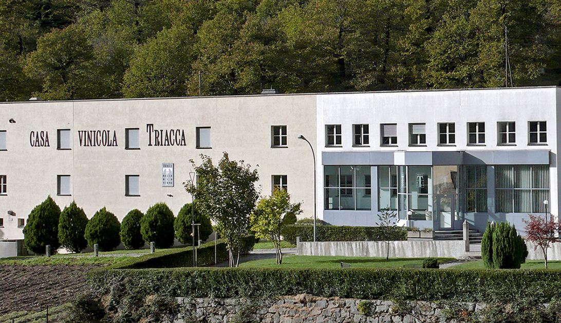 Zeige Produkte für Kategorie Triacca, La Gatta Bild für Kategorie Triacca, La Gatta
