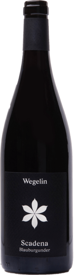 Wegelin Malanser Blauburgunder Scadena 2019 Wegelin Malanser Blauburgunder Scadena 2019