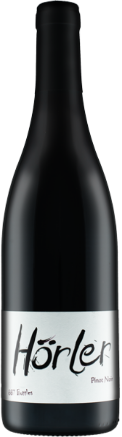 Silas Hörler Maienfelder Pinot Noir 2021 Silas Hörler Maienfelder Pinot Noir 2021