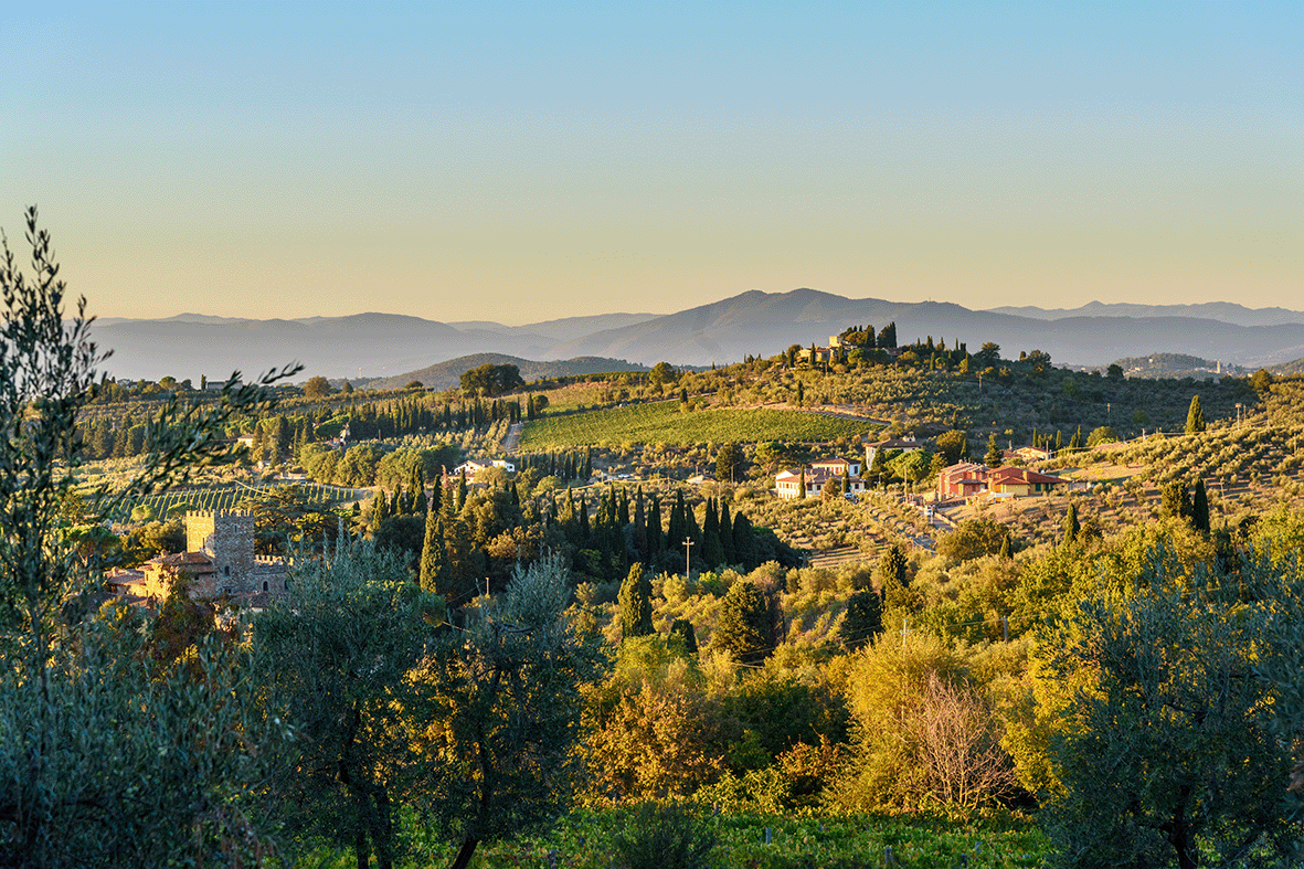 Zeige Produkte für Kategorie Chianti Bild für Kategorie Chianti