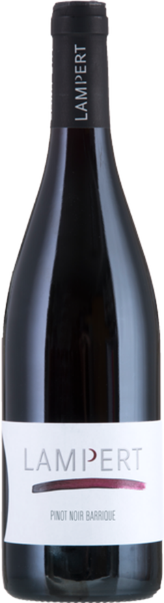 Lampert Maienfelder Pinot Noir Barrique 2020, AOC Graubünden, Pinot Noir, Graubünden