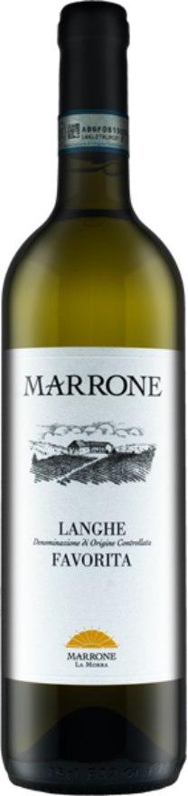 Marrone Langhe Favorita 2021 Marrone Langhe Favorita 2021