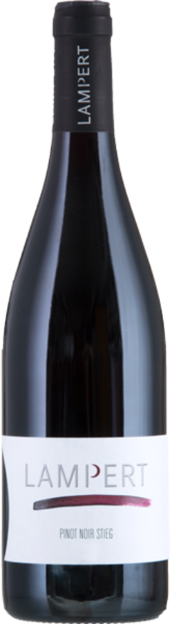 Lampert Maienfelder Pinot Noir Stieg 2020