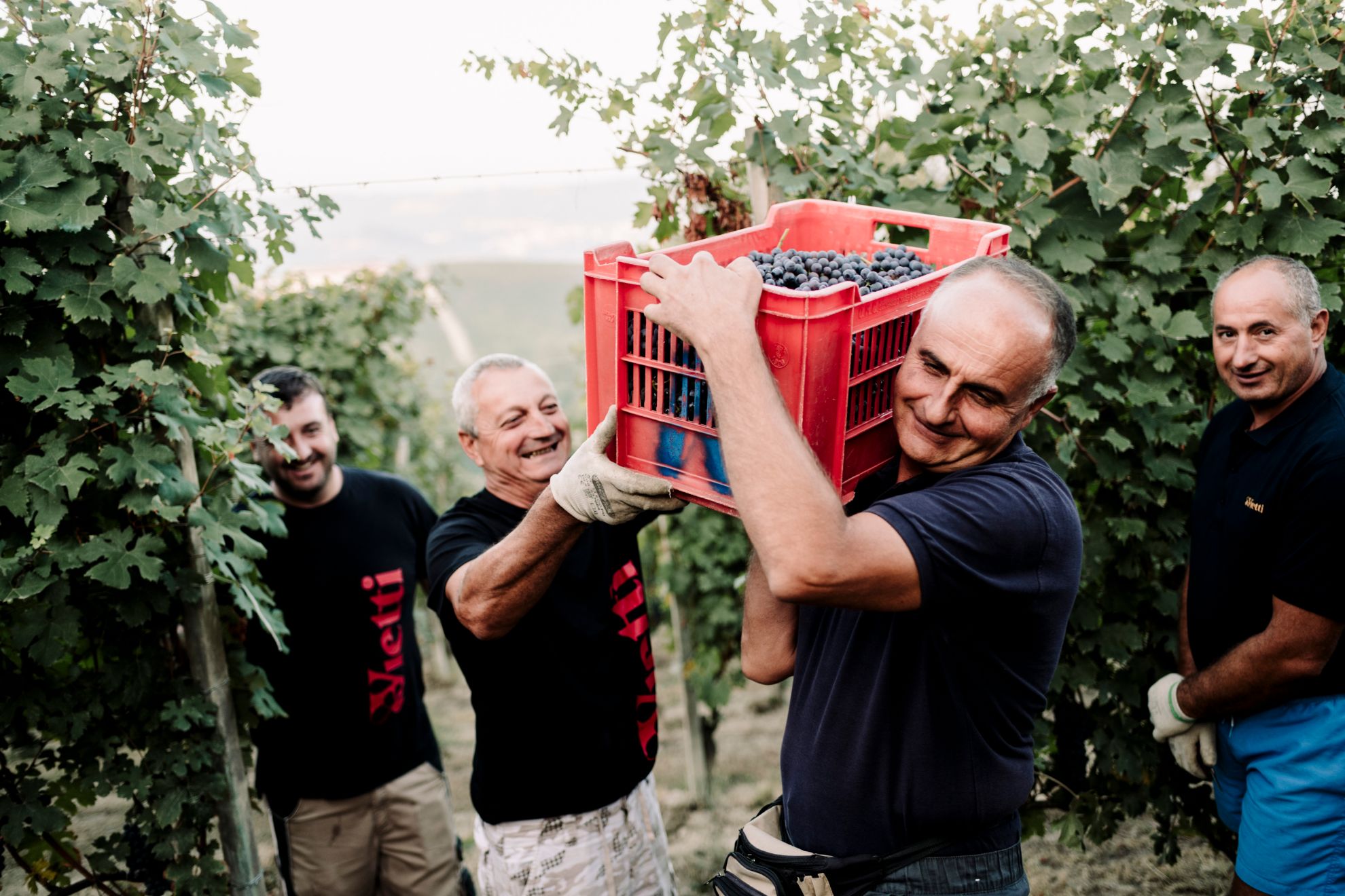 Zeige Produkte für Kategorie Vietti Bild für Kategorie Vietti