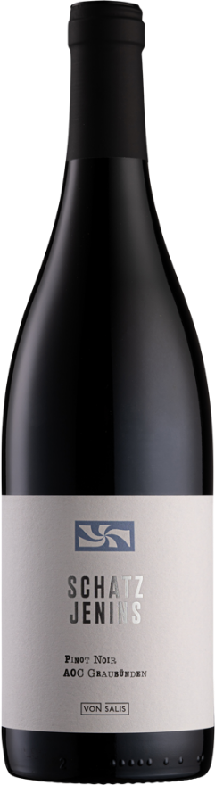 von Salis Jeninser Pinot Noir Schatz 2021, AOC Graubünden, Pinot Noir, Graubünden, Mondial des Pinots: 1