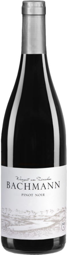 Bachmann Pinot Noir Berg 2021