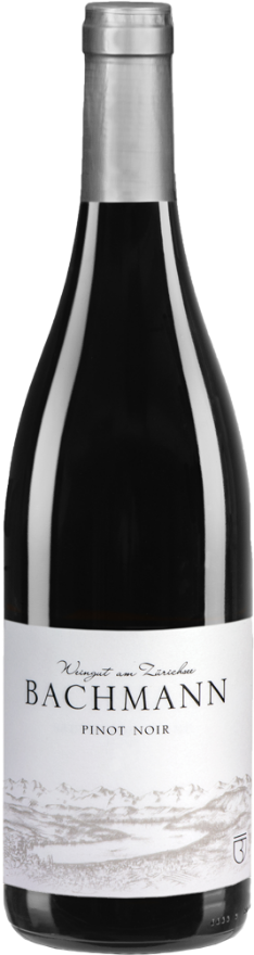 Bachmann Pinot Noir Berg 2021, AOC Zürich, Pinot Noir, Zürich