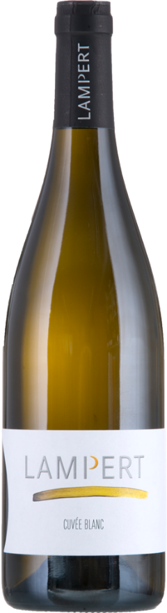 Lampert Maienfelder Cuvée Blanc 2022, AOC Graubünden, Riesling-Silvaner, Chardonnay, Sauvignon Blanc, Graubünden