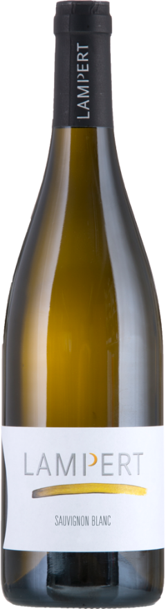 Lampert Maienfelder Sauvignon Blanc 2022 Lampert Maienfelder Sauvignon Blanc 2022