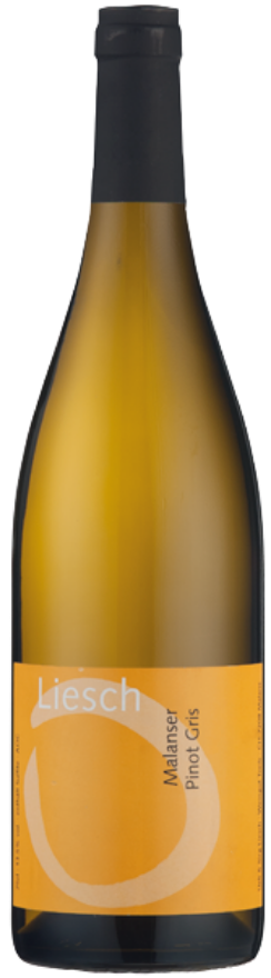 Ueli & Jürg Liesch Malanser Pinot Gris 2022, AOC Graubünden, Pinot Gris, Graubünden