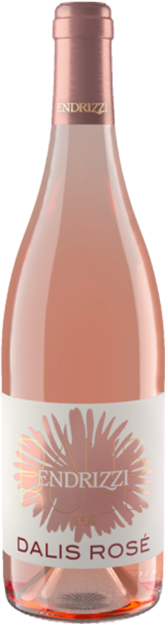 Endrizzi Cuvée Dalis Rosé 2022, Vigneti delle Dolomiti Rosato IGP, Teroldego, Sauvignon Blanc, Trentino